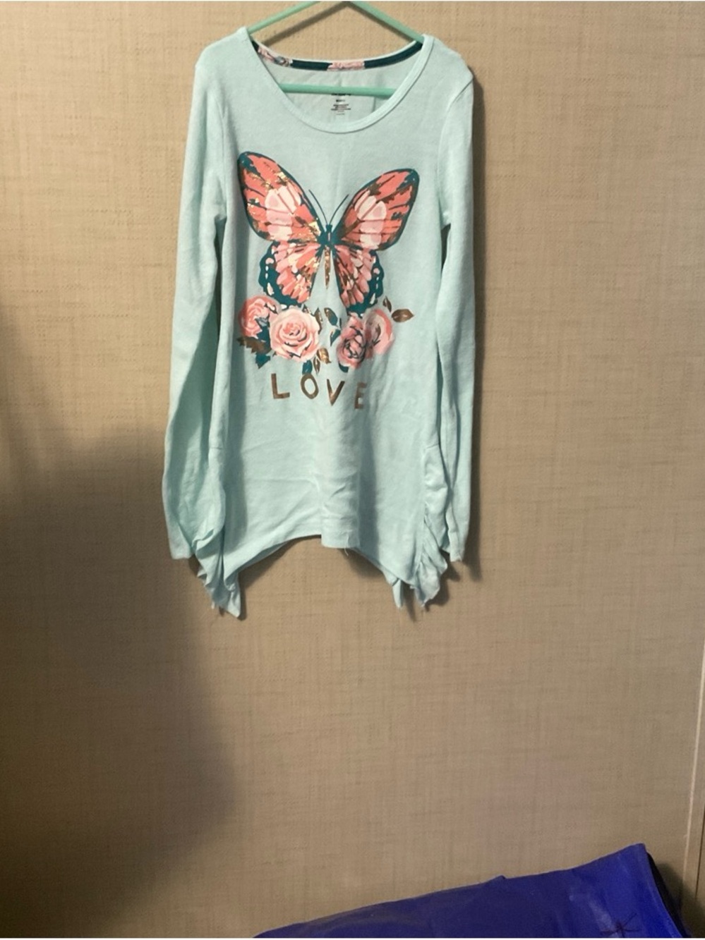 One Step Ahead Mint Long Sleeve Top with Pink Butterfly & Rose Graphic